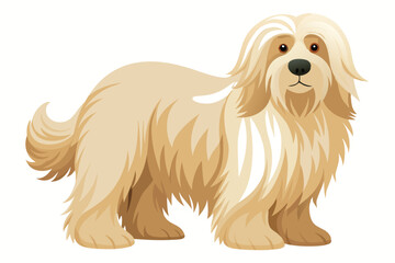 Charming Tan Tibetan Terrier with Fluffy Fur A Cartoon Dog Standing Calmly in Profile Ready to Play
