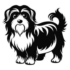 Whimsical Black and White Illustration of a Charming Long Haired Dog with Expressive Eyes and a Playful Stance