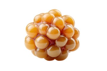 PNG Shiny brown liquid sphere with smooth reflective bubbles