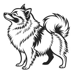 Monochrome Pomeranian Illustration A Fluffy Canine Companion with a Regal Stance and Plumed Tail in Striking Black and White
