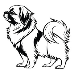 Majestic Pekingese Dog Illustration Embodying Elegance and Loyalty in a Striking Black and White Design Perfect for Pet Lovers