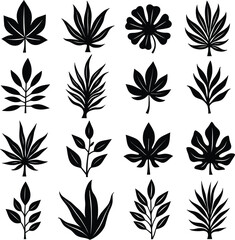 Collection of black silhouette tropical leaves and plants