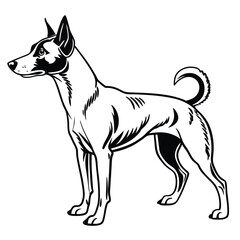 Elegant Black and White Basenji Dog Illustration A Classic Canine Portrait with Clean Lines and Detailed Features