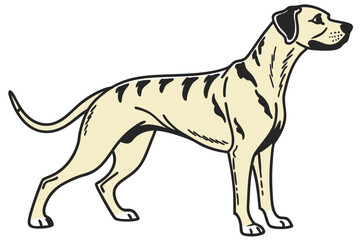 Elegant Great Dane with Spotted Markings Standing Tall A Majestic Canine Illustration and Representation of the Breed's Graceful Stature