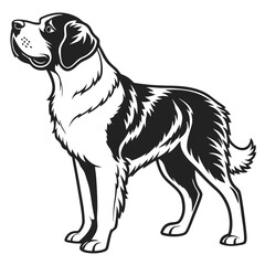 Majestic Saint Bernard Dog Illustration Captivating Black and White Depiction of a Noble Canine Breed Standing Proudly with a Gentle Expression
