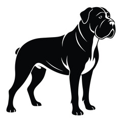 Striking Black and White Silhouette of a Majestic Cane Corso Dog Breed a Portrait of Canine Elegance and Power
