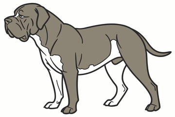 Majestic Mastiff Standing Tall A Portrait of Canine Grace and Power A Gentle Giant with a Stoic Presence