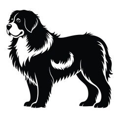 Majestic Bernese Mountain Dog Silhouette A Timeless Symbol of Loyalty Companionship and Swiss Heritage Canine Breed Illustration of Affection