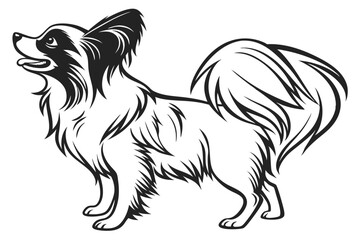 Elegant Papillon Dog Illustration Detailed Black and White Artwork Featuring a Graceful Canine Companion with Flowing Fur and a Delicate Frame
