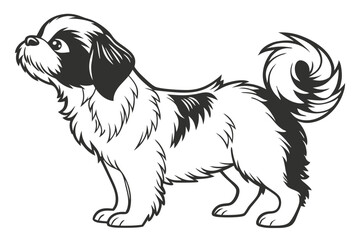 Monochromatic Illustration of a Cute Shih Tzu Dog with Fluffy Tail and Distinctive Markings Standing Alertly