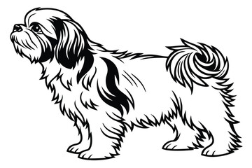 Elegant Shih Tzu Illustration A Graceful Depiction of Breed Standard and Charm of a Beloved Companion
