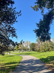  Open City Park with Benches and Curved Walking Path