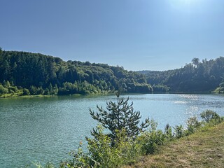Forest Lake View with Sparkling Water on a Summer Day