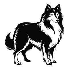 Elegant Collie Illustration Captivating Black and White Design Displaying Breed Characteristics and Graceful Form Perfect for Logos and Designs