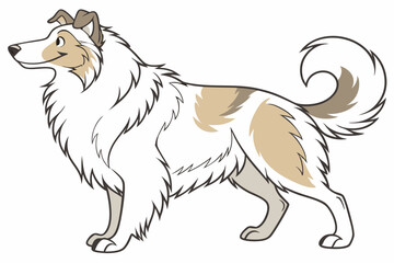 Cartoon Collie Dog Breed Illustration Graceful Canine with Flowing Fur and Curled Tail Standing Proudly on White Background