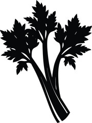 celery on white background.eps