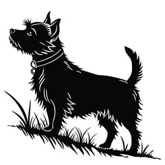 Elegant Silhouette of a Scottish Terrier Standing Proudly in Grass Captivating Black and White Image of a Beloved Breed