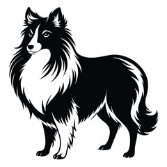 Elegant Shetland Sheepdog Illustration A Striking Black and White Depiction of Canine Beauty and Grace in Artistic Simplicity
