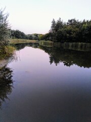 Background, Calm quiet river in green forest in summer.