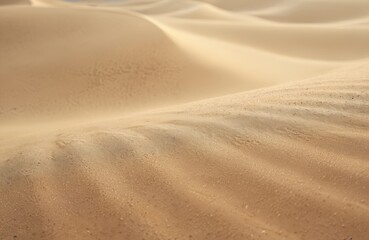 Fototapeta premium Scenic desert landscape featuring sand dunes with textured surfaces. Wind creates patterns across sand. Warm sunlight highlights curves, creating tranquil atmosphere. Ideal for travel, vacation,