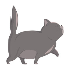 Realistic dark cat walking on a white background - Vector illustration