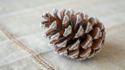 pine cones