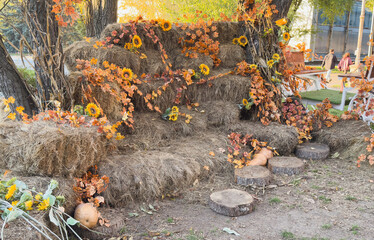 Autumn wreath and still life with pumpkin and onions on wood. Happy Thanksgiving design. This image is toned. 
