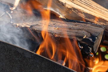 Bark Beetle Burned in Firewood. Ecological Commentary on Forest Infestation
