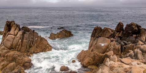 Rocky coastline with crashing waves and a seagull in flight on a cloudy day.