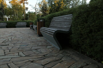Design wooden bench in the garden. Summer outdoors road under green trees branch in evening sunlight. Natural untouched colors