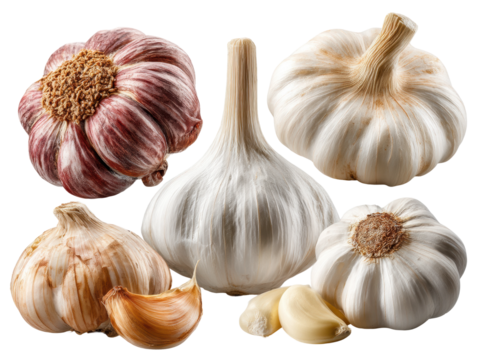 Garlic varieties showcase kitchen food bright lighting isolated on transparent background