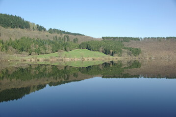 Perfect Reflection of Eifel Forest Landscape. Obersee; Rursee; Gerrmany. Perfect Background