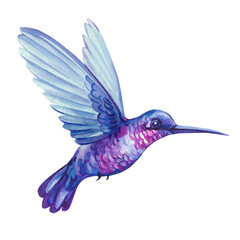 Purple hummingbird watercolor illustration tropical bird in flight botanical clipart for wedding invitations fabric print wall art © Hanna