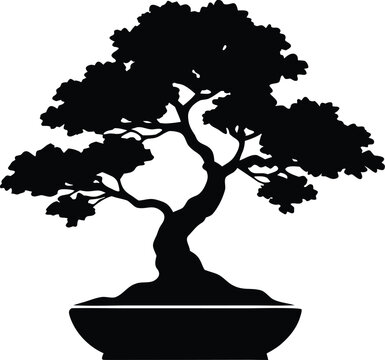 bonsai tree vector icon