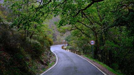 A winding mountain road through a lush green forest, with a speed limit sign visible on the right.