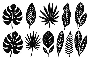 Fototapeta premium Black and White Tropical Leaves Vector Set – Monstera, Palm, Exotic Plants Illustration Collection