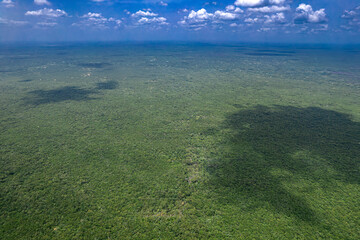Aerial Drone View of the Jungle in the Yucatán Plateau, Mexico