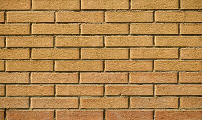 A yellow brick wall showcases a distinct pattern and texture, with sunlight creating subtle shadows between the bricks. The structure conveys durability and simplicity