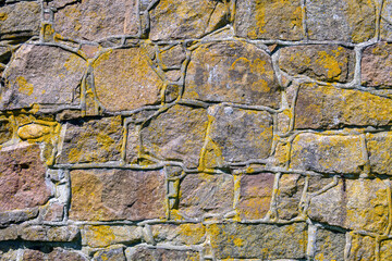 The surface of an old stone wall shows diverse textures, with various hues of brown and gray interspersed with vibrant green and yellow moss, illuminated by bright daylight