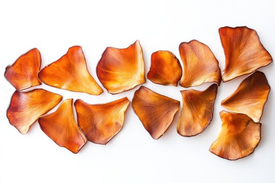 Dried flower petals arranged isolated on white background