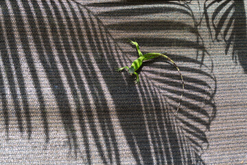 A vivid green lizard crawls across a textured fabric surface patterned with dramatic palm leaf...