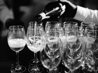 Black and white close-up of a wine server pouring sparkling wine into a row of glasses, capturing a...
