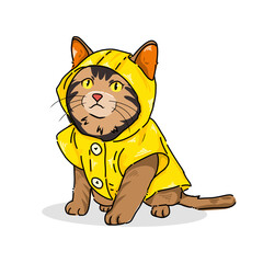 A cute, funny, happy cartoon cat illustration 