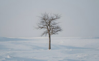 Fototapeta premium Barren tree standing alone amidst a snowy winter landscape under a pale sky