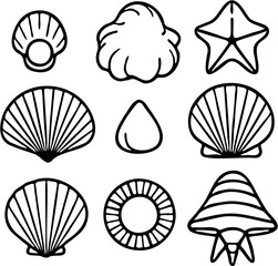 vector line art illustration set of sea shells, isolated on white
