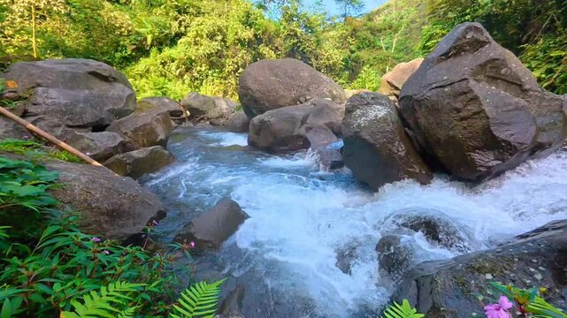 Stream water gently slides across submerged leaves and small roots in a shallow forest run. Silent clip.