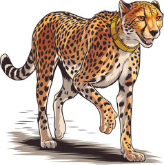 Adobe Illustrator Artwork