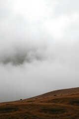 Brown Grass Hillside under Dense Sky Haze, Atmospheric Landscape shot