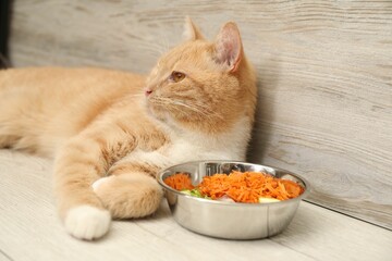 Cat with bowl full of raw natural products indoors. Pet's balanced diet