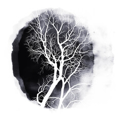 Mysterious watercolor illustration featuring bare tree silhouettes on textured backgrounds. Atmospheric and moody design evokes a dark, eerie forest scene, dramatic nature-themed visual content.